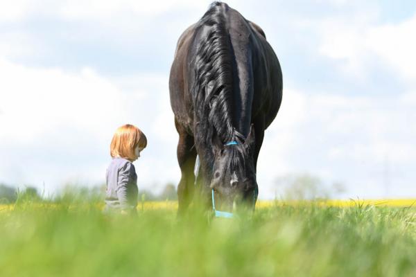 Kind und Pferd