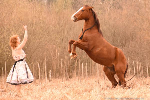 Tierfotografie